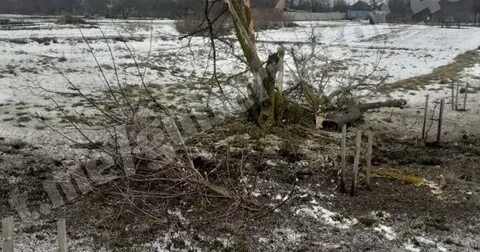 Курск прорыв дрг