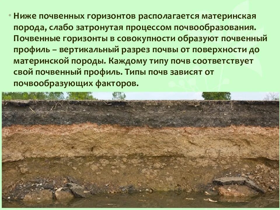 Почва располагается