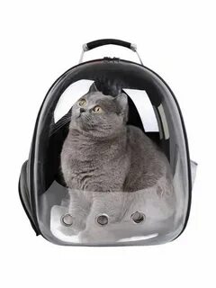 Cat pack