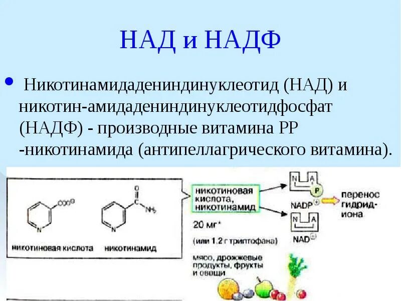 Никотин биохимия. Над и НАДФ коферментные формы витамина. Кофермент НАДФ витамин. НАДФ строение и функции. Строение кофермента НАДФ.