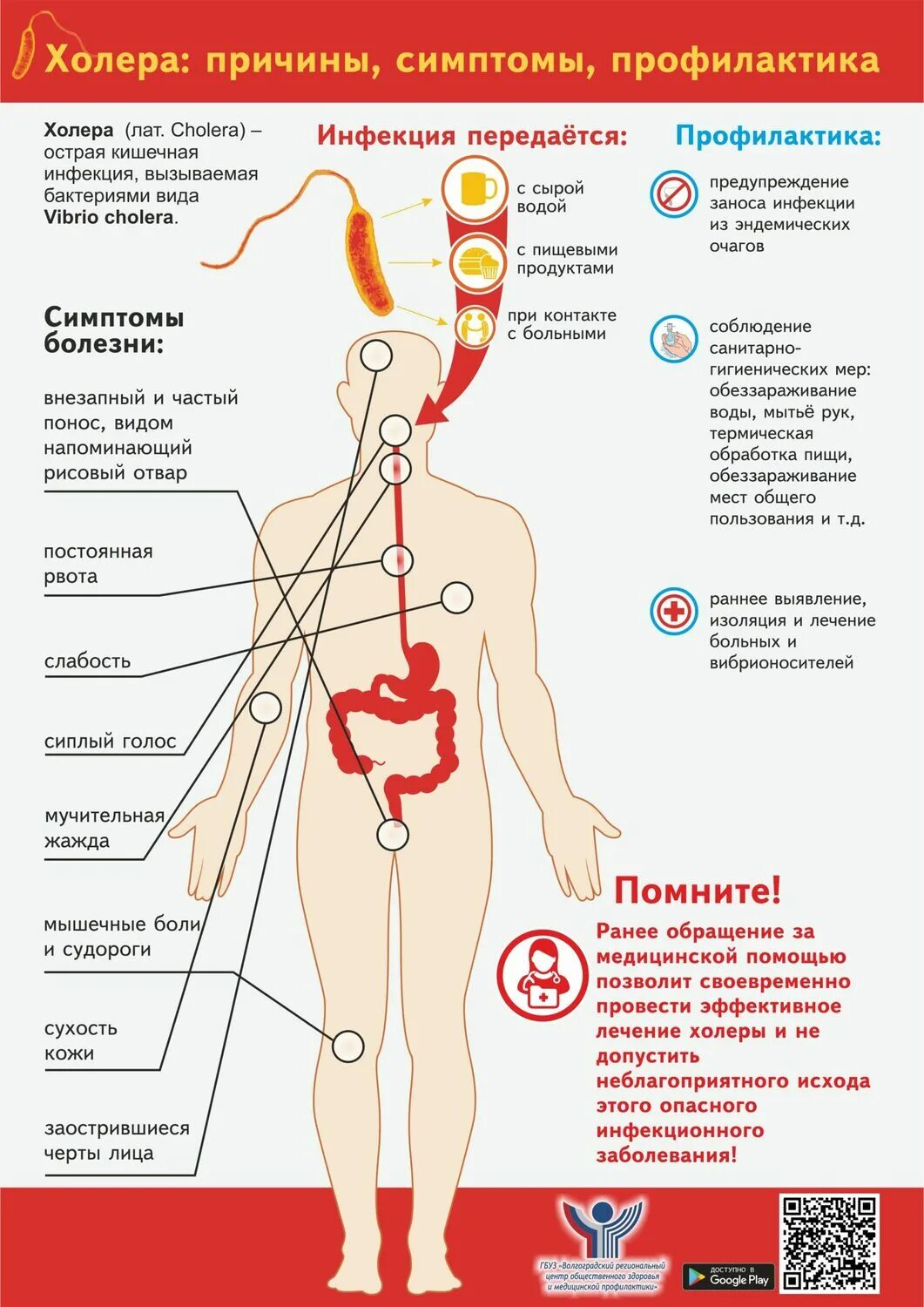 Заболевания крови меры профилактики. Холера симптомы памятка. Основные клинические симптомы при холере.. Болезнь холера причины заболевания. Симптомы характерные для холеры.