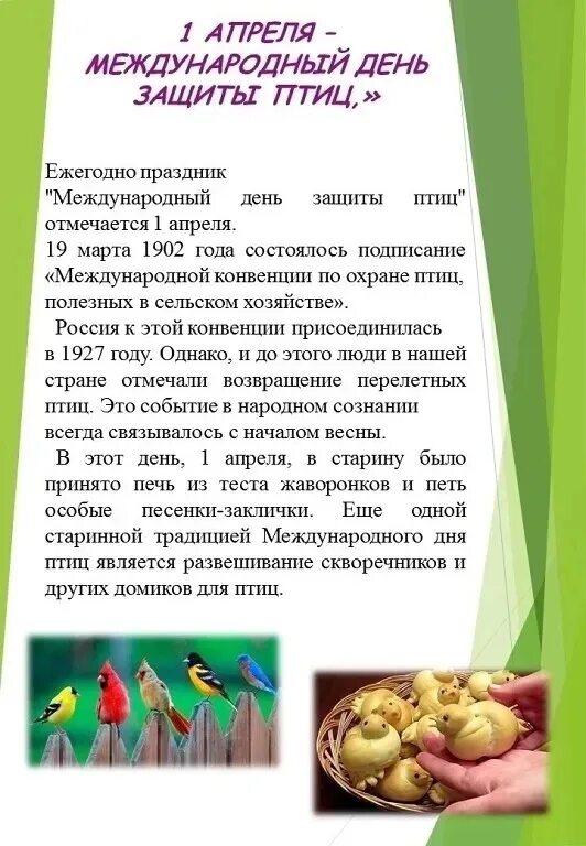 День птиц статьи. День птиц. День птиц статьи. 1 апреля международный день птиц. 1 апреля день птиц.