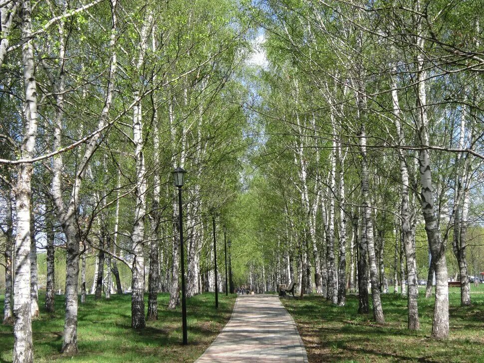 Панорама: Березка, сауна, Железнодорожная ул., 2, Ставрополь - Яндекс Карты