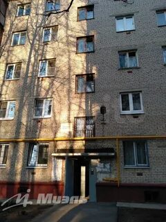 Дмитровское 55