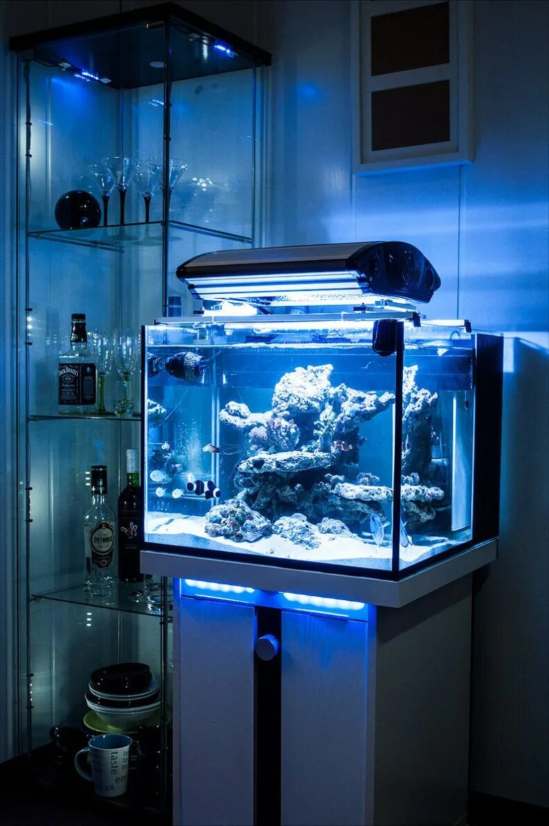 Аквариум aquarium. Морской аквариум 2000 литров. Стильный аквариум. Рыбки для аквариума. Красивые аквариумы.
