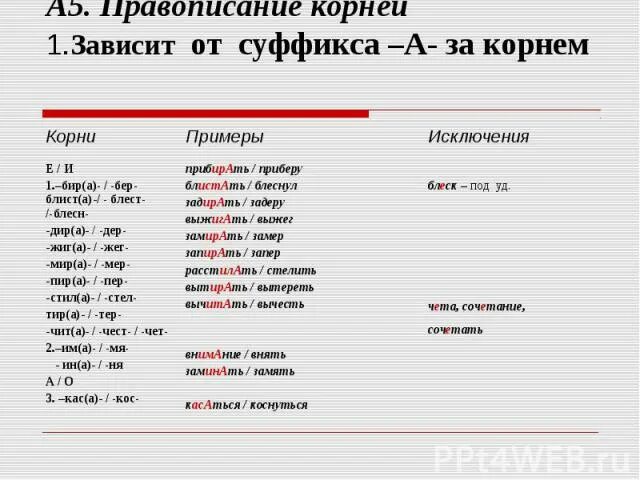 3 правила правописания корня