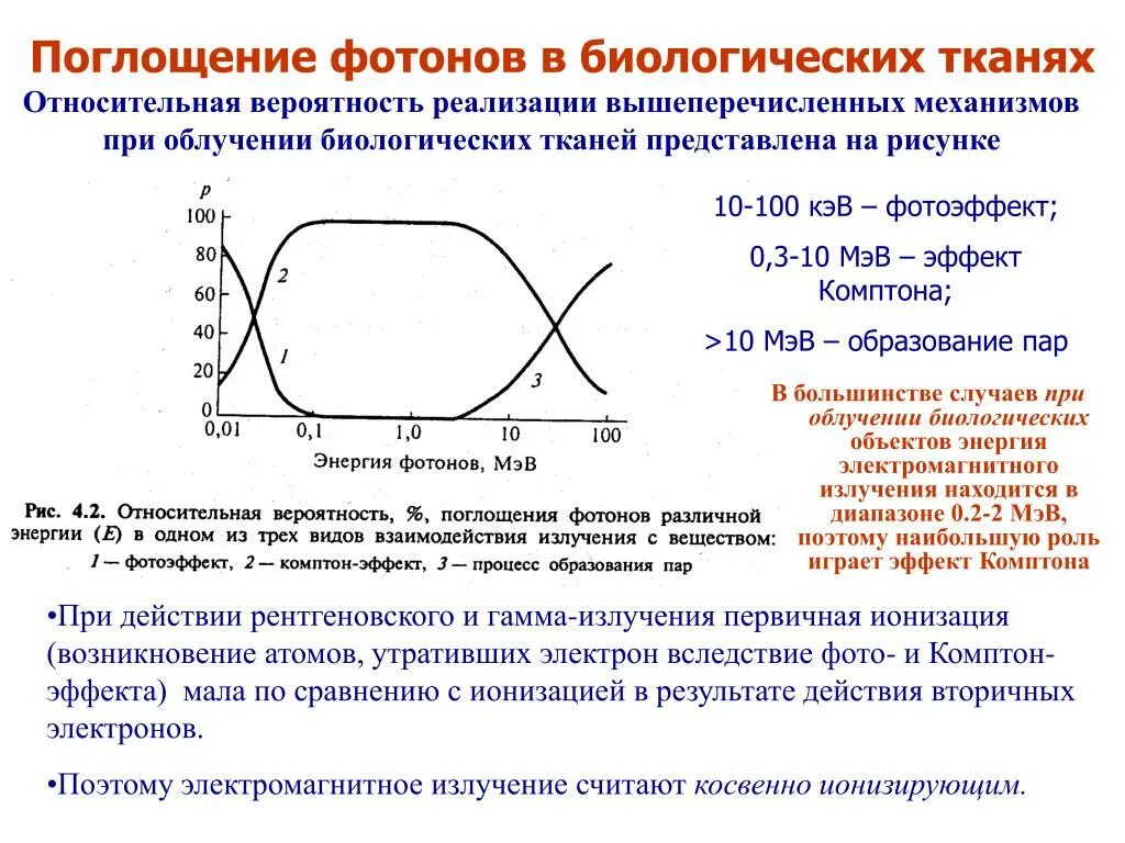 Метод взаимодействия электромагнитного излучения с веществом. Взаимодействие ионизирующих излучений с атомами вещества. Поглощение рентгеновского и гамма излучения. Поглощение излучения веществом. Излучение поглощение частота