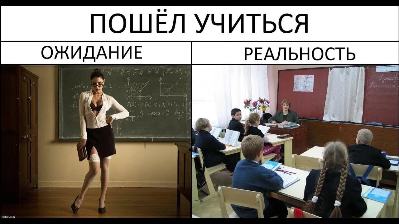 Почему школа не работа