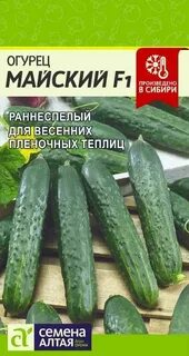 Семена алтая лучшие сорта огурцов