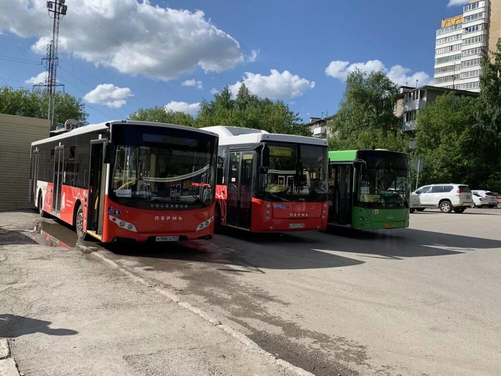 15 автобус пермь на сегодня. Общественный транспорт Перми. Пермские автобусы. Пермский трамвай. ГОРТРАНС Пермь трамвай.