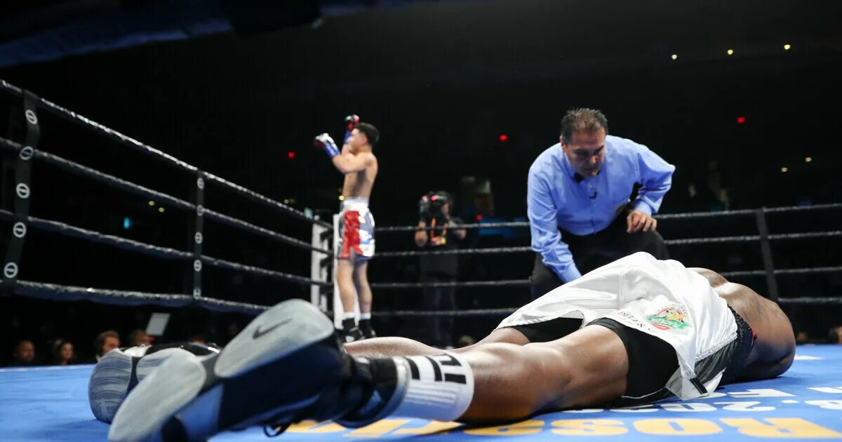 Фото диллиан уайт усик. Бои 22 декабря. Хамзат чимаев бой. Бокс бой на ринге. Бои 22 декабря.