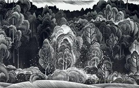 Американский художник график на х