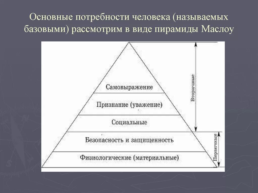 Перечислите основные жизненные