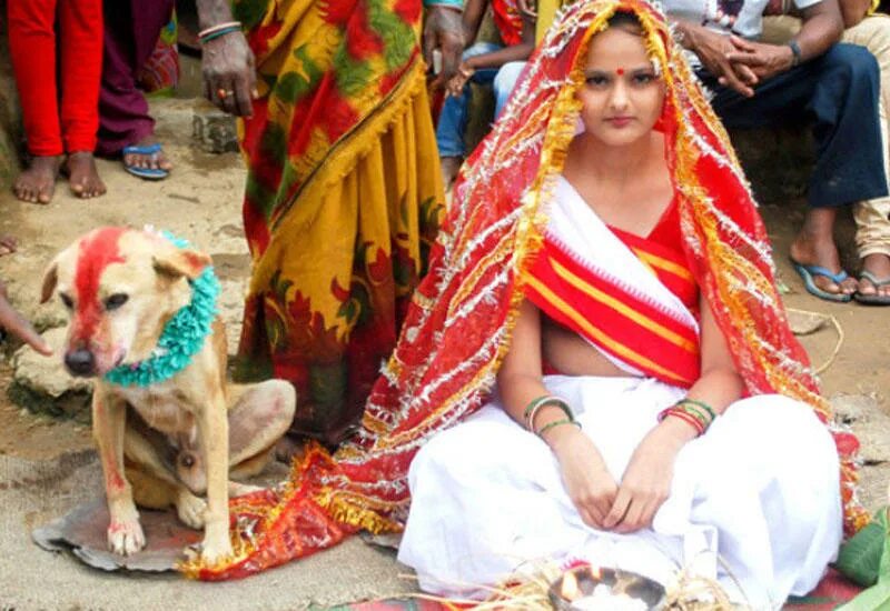 Женщина собака брак. Мангли мунда. Вышла замуж за собаку. Индия люди.