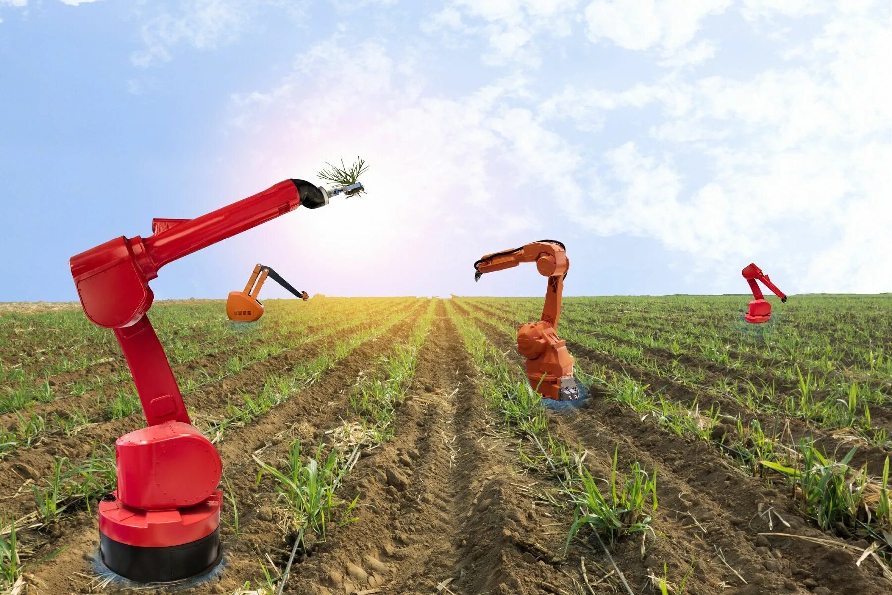 Роботы в сельском хозяйстве. Умные технологии в сельском хозяйстве. Роботы в растениеводстве. Современные технологии в сельском хозяйстве.