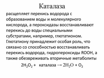 Почему все живые организмы содержат каталазу