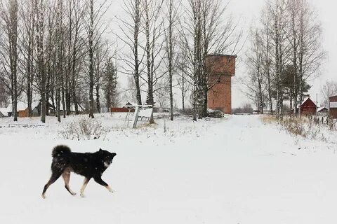 Ловить нечего
