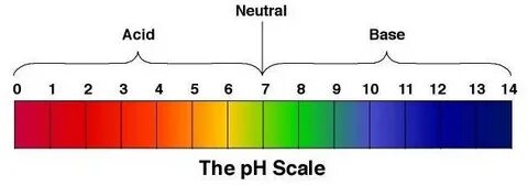 Ph less