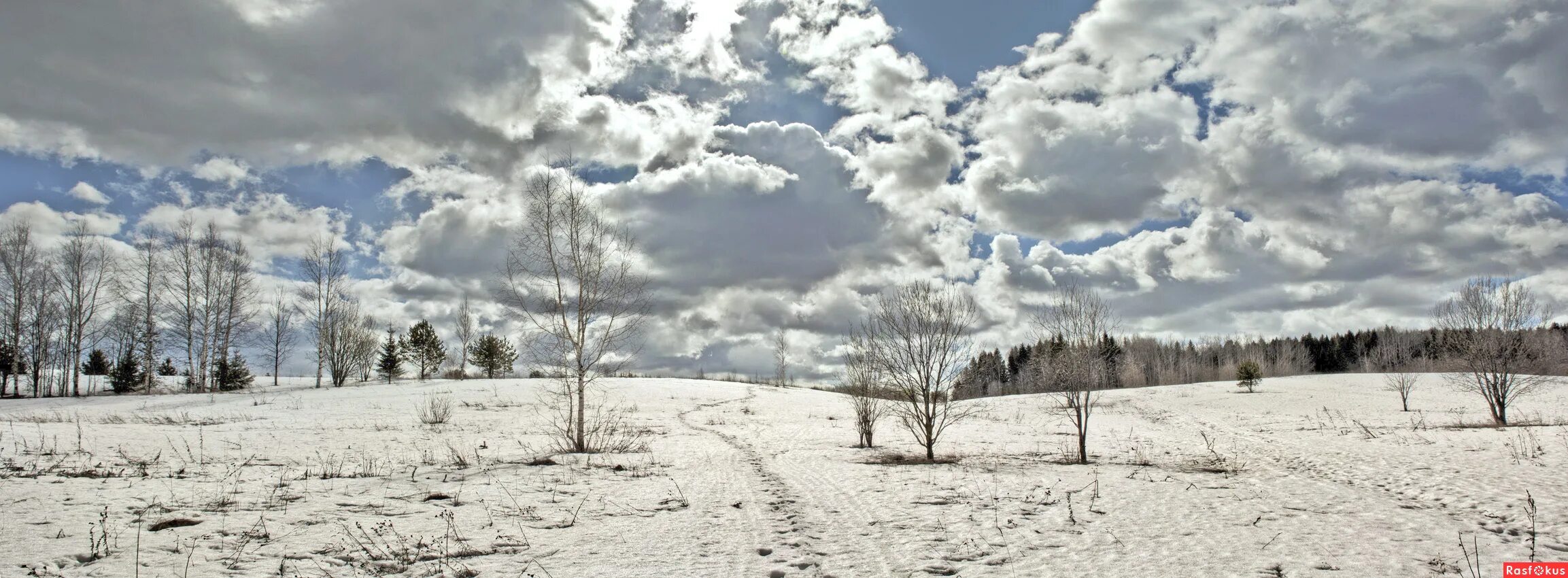 степь ранней весной. к. снег поле. таяли снега в поли. ранняя весна.