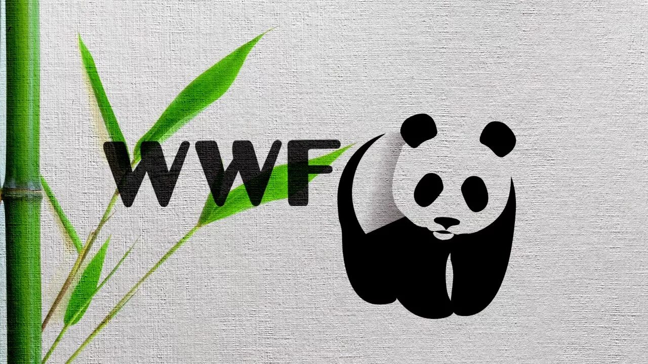 Video wwf. Всемирный фонд дикой природы wwf эмблема. Wwf album stickers. Всемирный фонд дикой природы wwf. Флаг wwf.