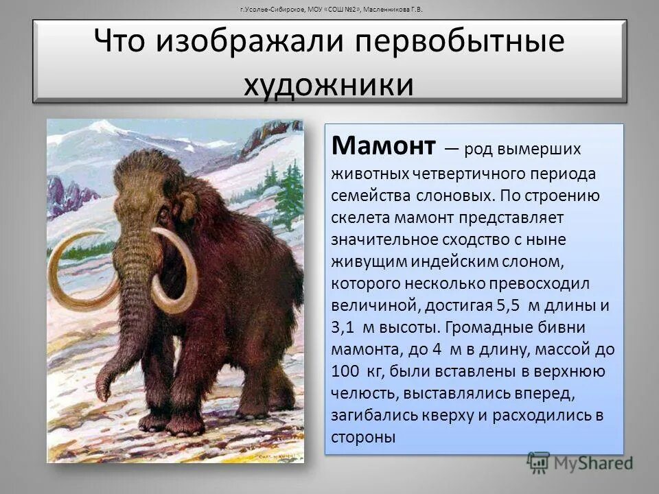 Сообщение на тему древние животные