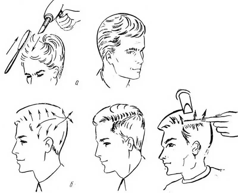 Технология стрижки канадка. Стрижка канадка технология выполнения. Схема стрижки канадка машинкой. Стрижка канадка технология выполнения пошагово. Как научиться стричь мужские стрижки