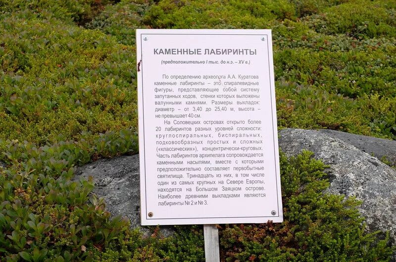 Большой заяцкий остров соловки. Соловецкие острова большой заяцкий остров. Лабиринты заяцкого острова настоящая загадка соловецкого архипелага. Лабиринты заяцкого острова настоящая загадка соловецкого архипелага. Заяцкий остров сигнальная гора.