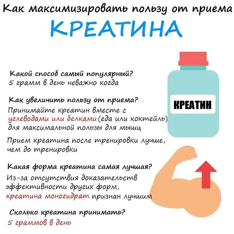 Лучше пить креатин до или после тренировки. Схема приема креатина. Сколько надо принимать креатина. Креа мин как принимать. Таблица приема креатина.