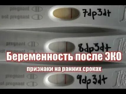 Симптомы после эко форум