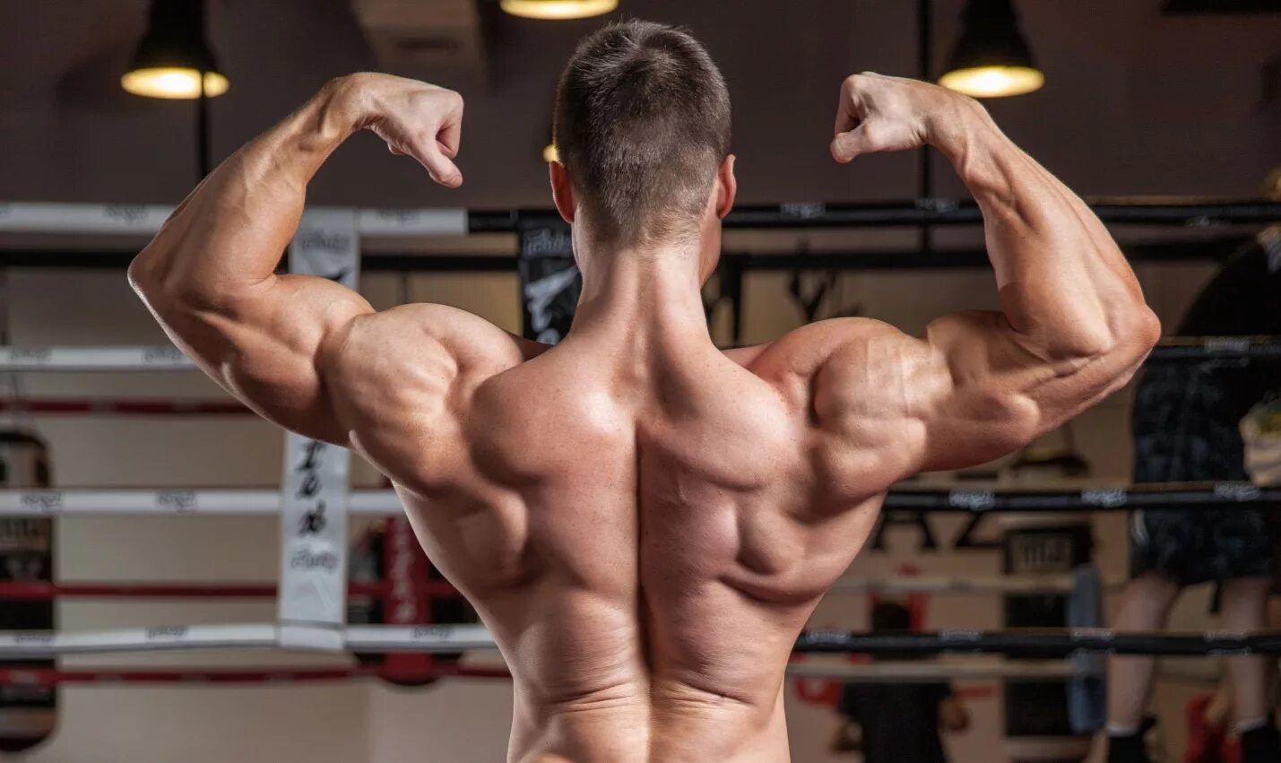 Отжимания. Накачивание мышц. Тренировка мускул. Тренировка мускулатуры. Тренировка мускулатуры.