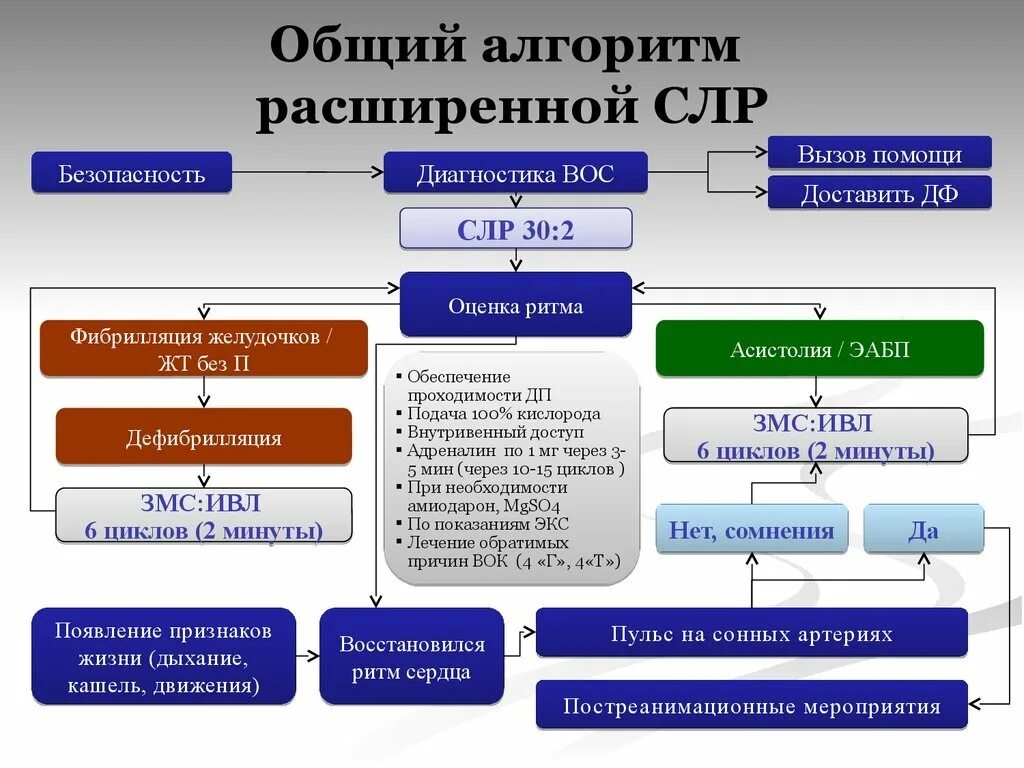 Сердечно легочная реанимация слр алгоритм. Алгоритм расширенной слр у взрослых. сердечно-лёгочная реанимация алгоритм 2025. алгоритм проведения расширенной сердечно-легочной реанимации. расширенная сердечно-легочная реанимация алгоритм.
