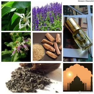 Афродизиаки в каком семействе