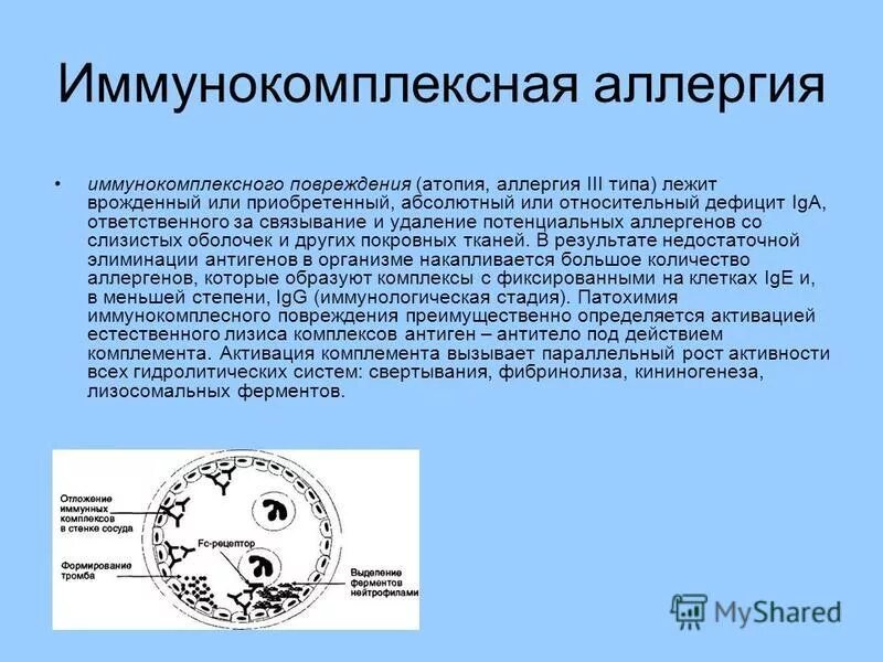 Индивидуальный проект 10 класс биология аллергия как фактор проявления иммунодеф