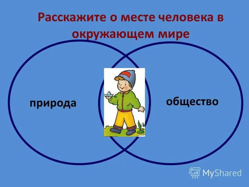 человек и общество темы. человек общество природа обществознание. типы стратификации систем. что определяет социальный статус. социальный статус человека.