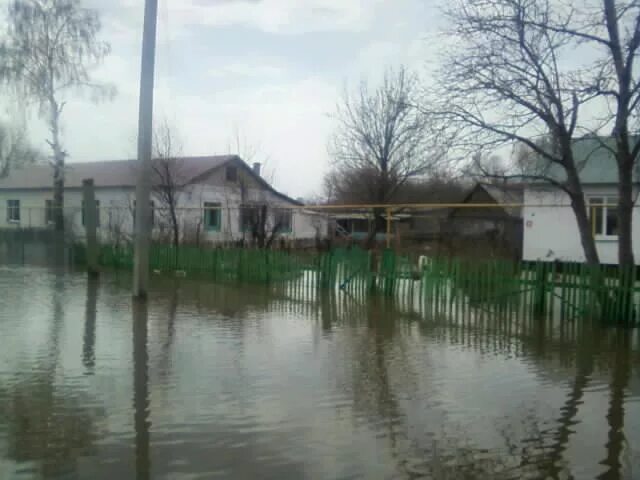 Самарская обл елховка храм покрова богородицы. Погода в сухая вязовка самарской. Погода в сухая вязовка самарской. Сухая вязовка самара. Вязовка саратовская область.