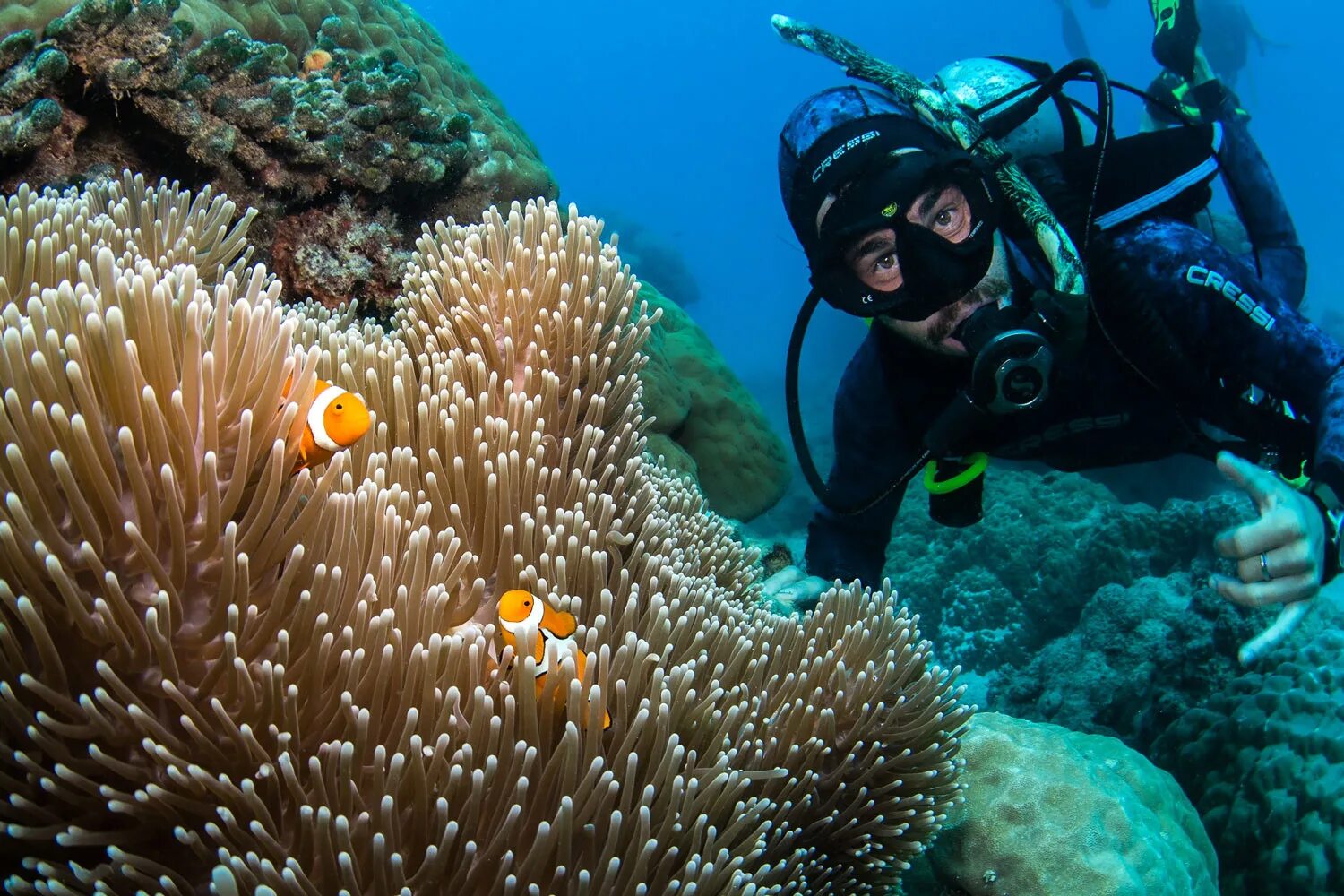 Риф владивосток. Дайвинг коралловые рифы австралия. риф в хургаде. scuba diving great barrier reef. коралловый риф хургада.
