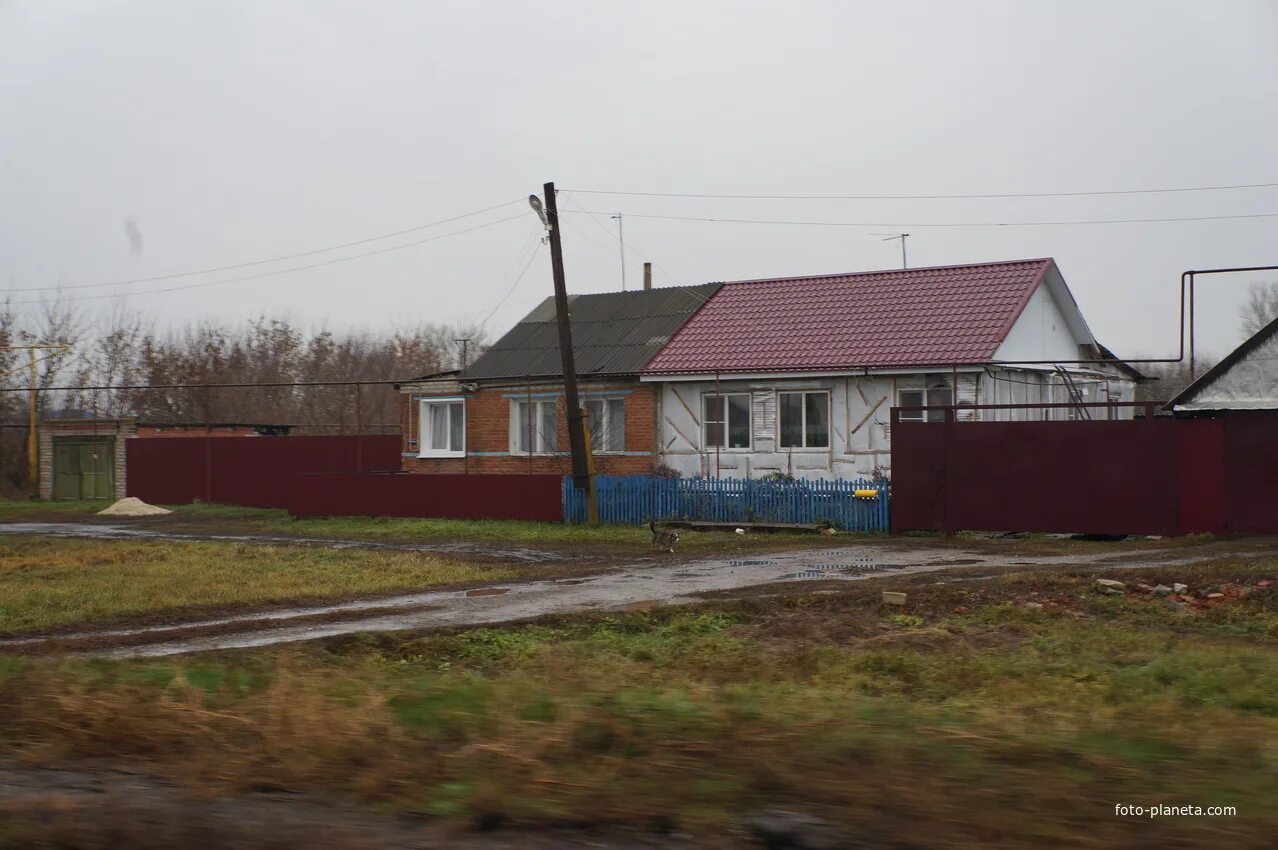 Байчурово Воронежская. Байчурово-Пески-Поворино. Байчурово Поворинский район. Поселение Байчурово Воронежской области. Погода в байчурово метео 7