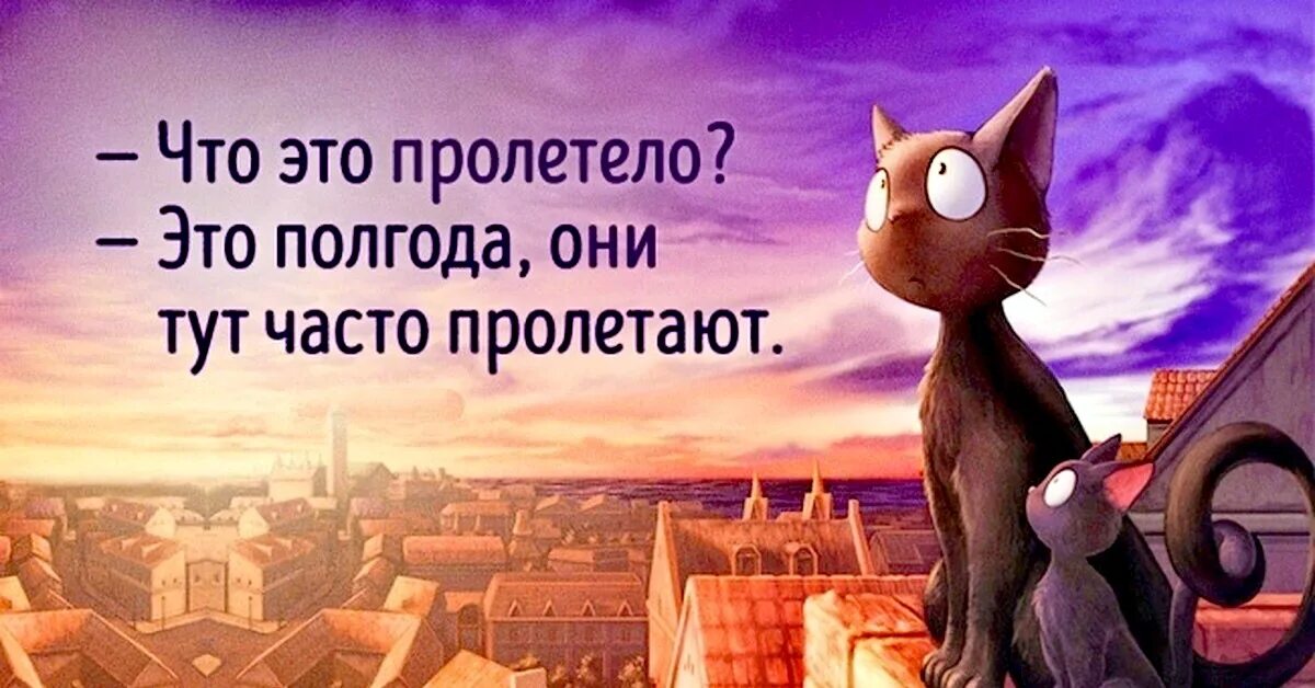 Удивительное дело время быстро пролетело. Что это пролетело это полгода они часто тут пролетают. полгода пролетели. что это тут пролетело. время пролетит как.