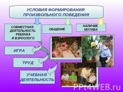 Развитие произвольного