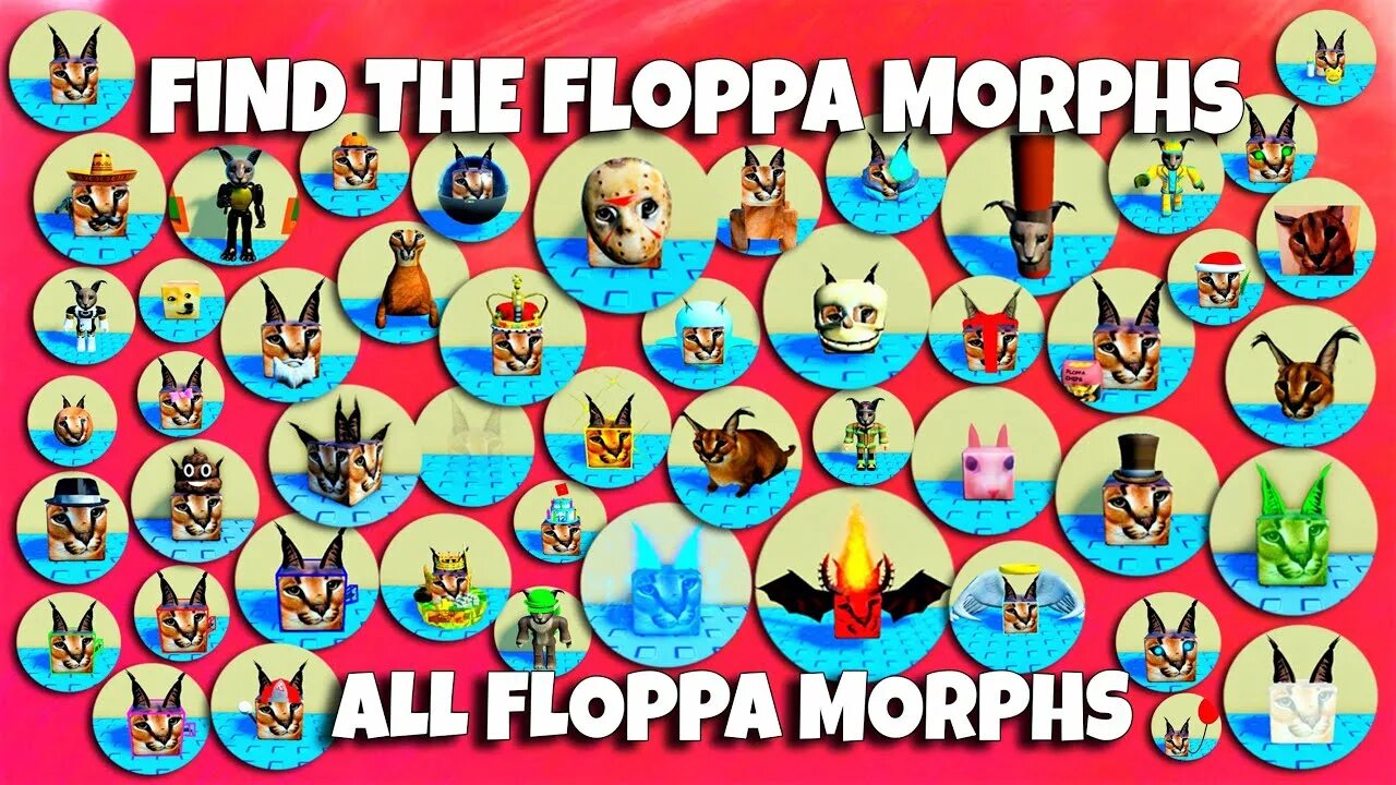 Find the floppa morphs. Roblox find the floppa morphs. floppas в роблокс.