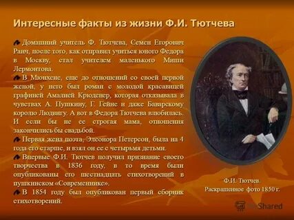 Факты из жизни тютчева
