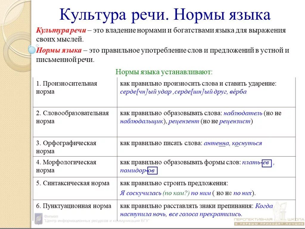 Язык и культура нормы русского языка