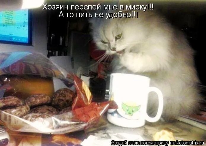 Я проснулся утром и сказал. Ага проснулись с добрым утром. ага проснулись. я проснулся значит утро. я просыпаюсь в 5 утра.