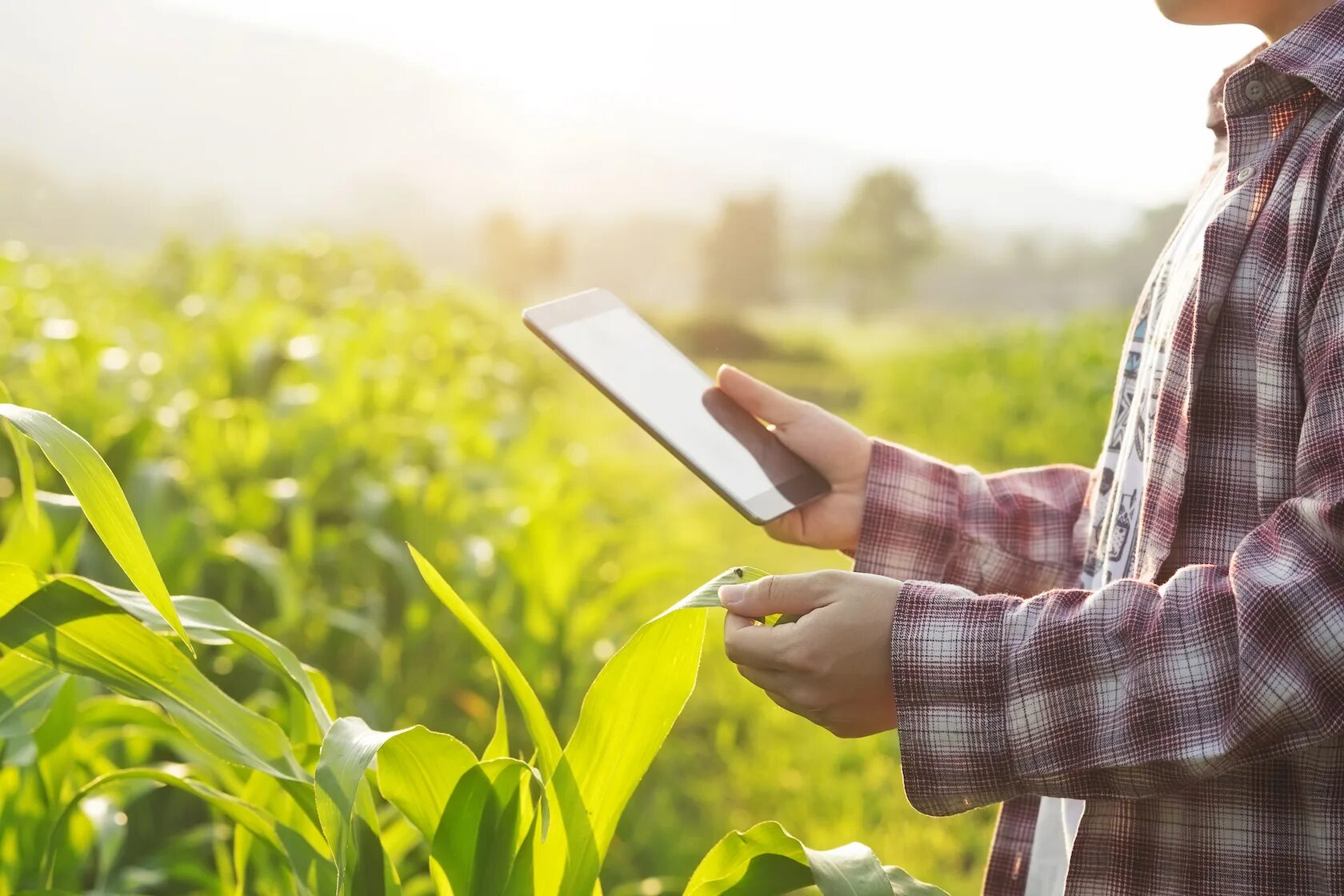 Вже це. Сельское хозяйство планшет. Фермер с ноутбуком. Цифровые технологии в сельском хозяйстве. Сельское хозяйство продовольствие.