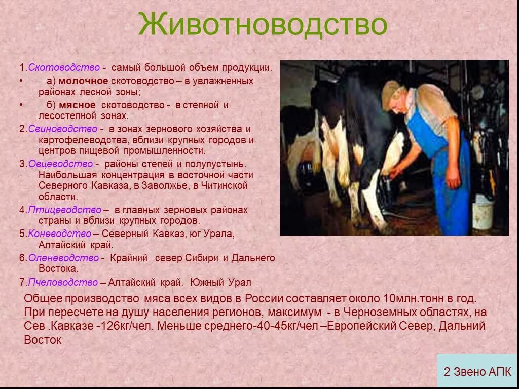 Какие профессии распространены в животноводстве. Сообщение о животноводстве. рассказ о животноводстве. доклад о животноводстве. доклад на тему животноводство.