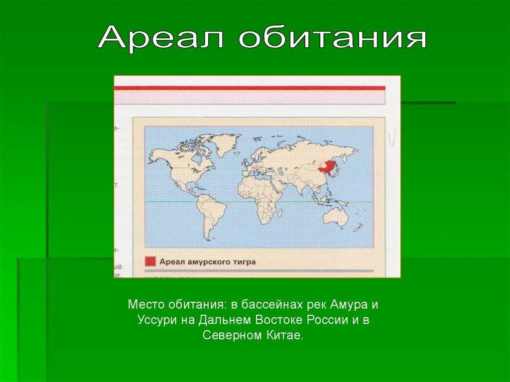 Ареал обитания. Ореол рбитания Амурского тигра. Амурский тигр ареал обитания. Амурский тигр ареал. Карта амурский тигр