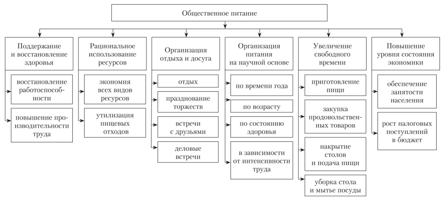 Анализ предприятий питания. Классификация предприятий общественного питания схема. Принципы организации предприятий общественного питания. Основная функция предприятия общественного питания. Структура сферы общественного питания.