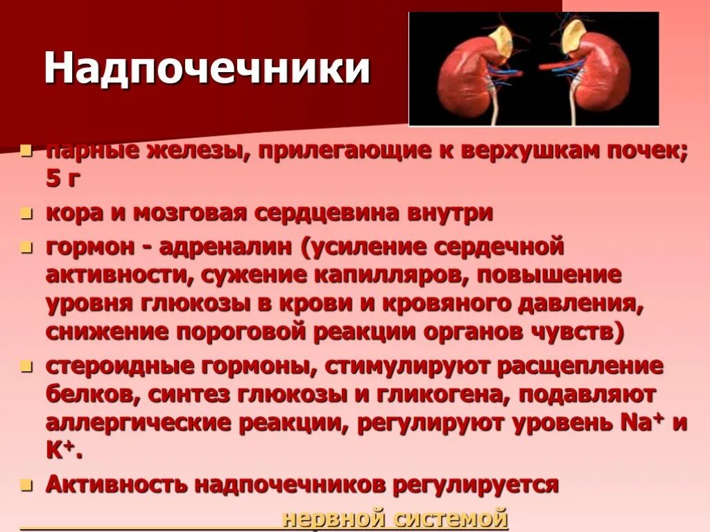 Аденома надпочечника у мужчин что это. Заболевания надпочечников. Заболевания надпочечнико. Надпочечники гормоны заболевания. Синдромы поражения надпочечников.