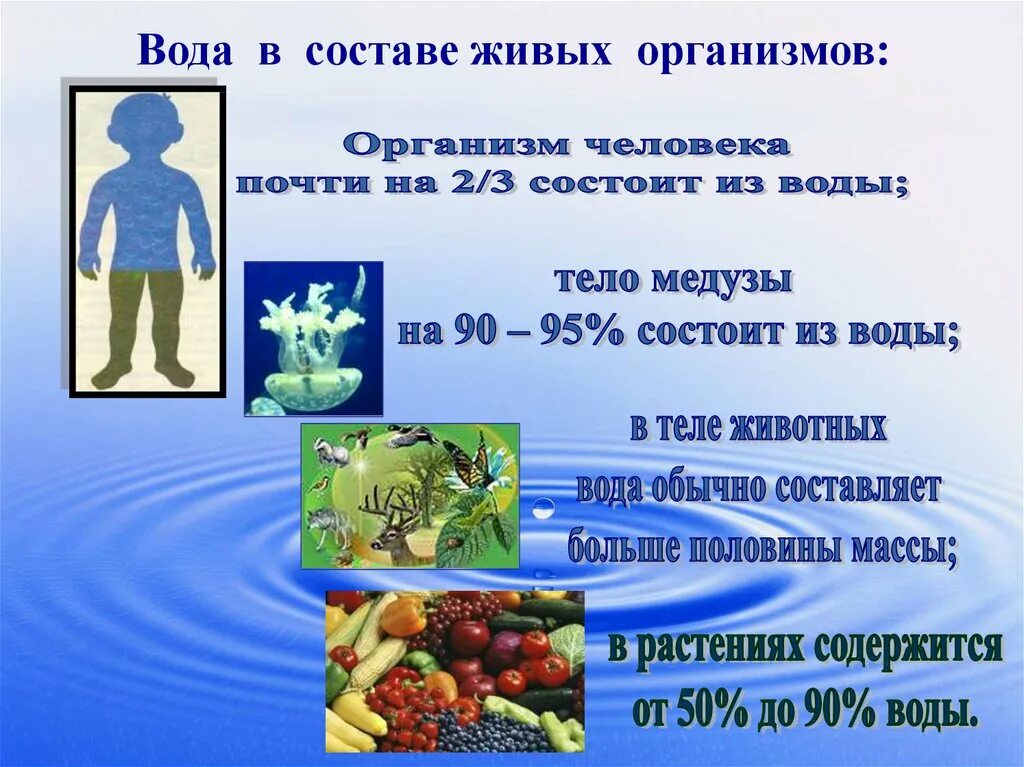 Человек на 75 состоит из воды. Содержание воды в живых организмах. Значение воды в организме. Роль воды в живых организмах. Значение воды для живых организмов.