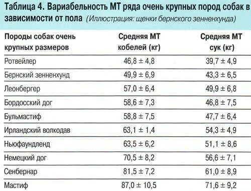 Нормальная температура у собак крупных